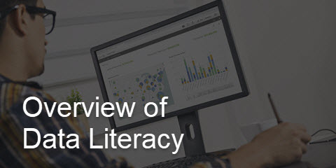 Overview of Data Literacy
